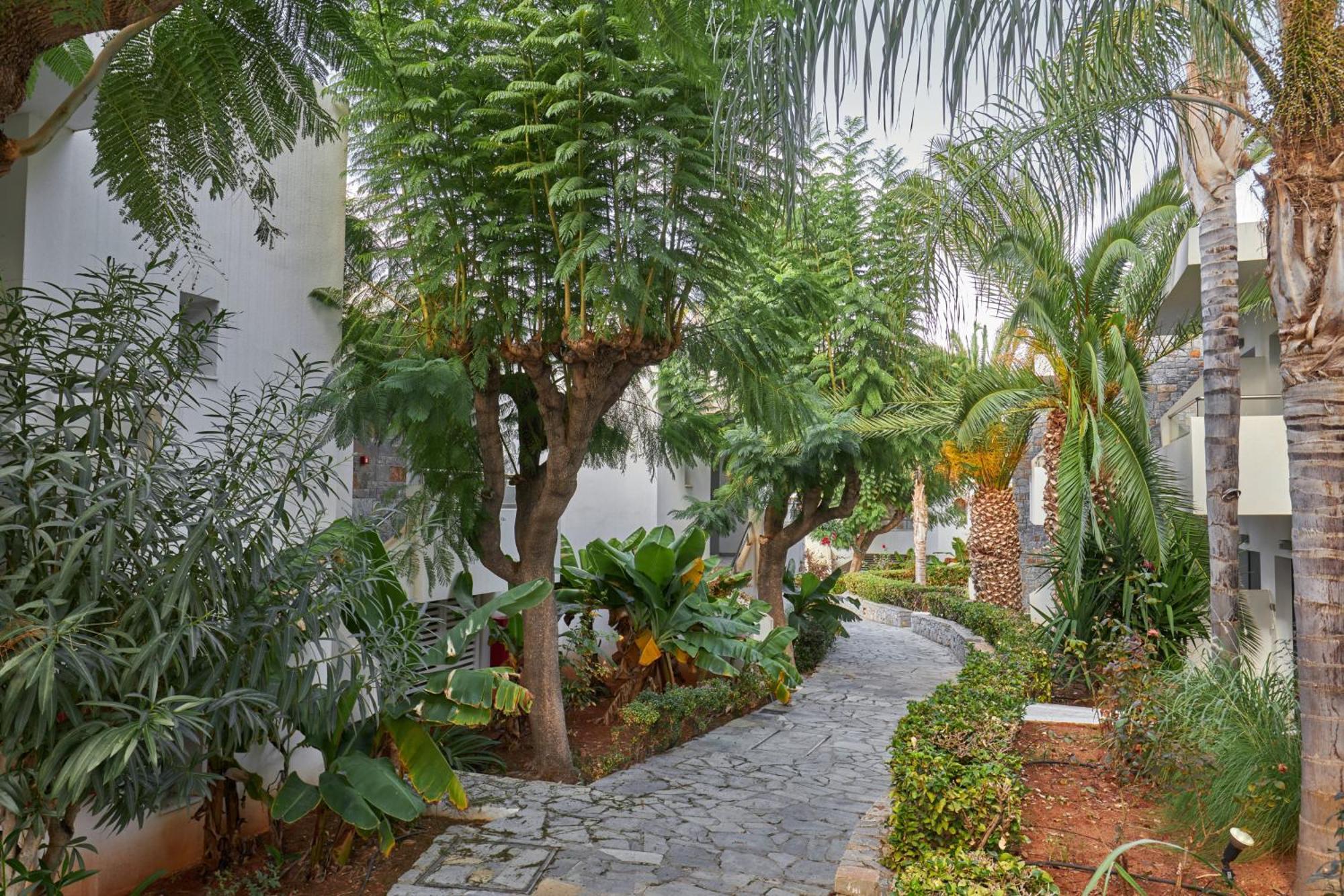 Kyknos Beach Hotel & Bungalows Malia Exterior foto