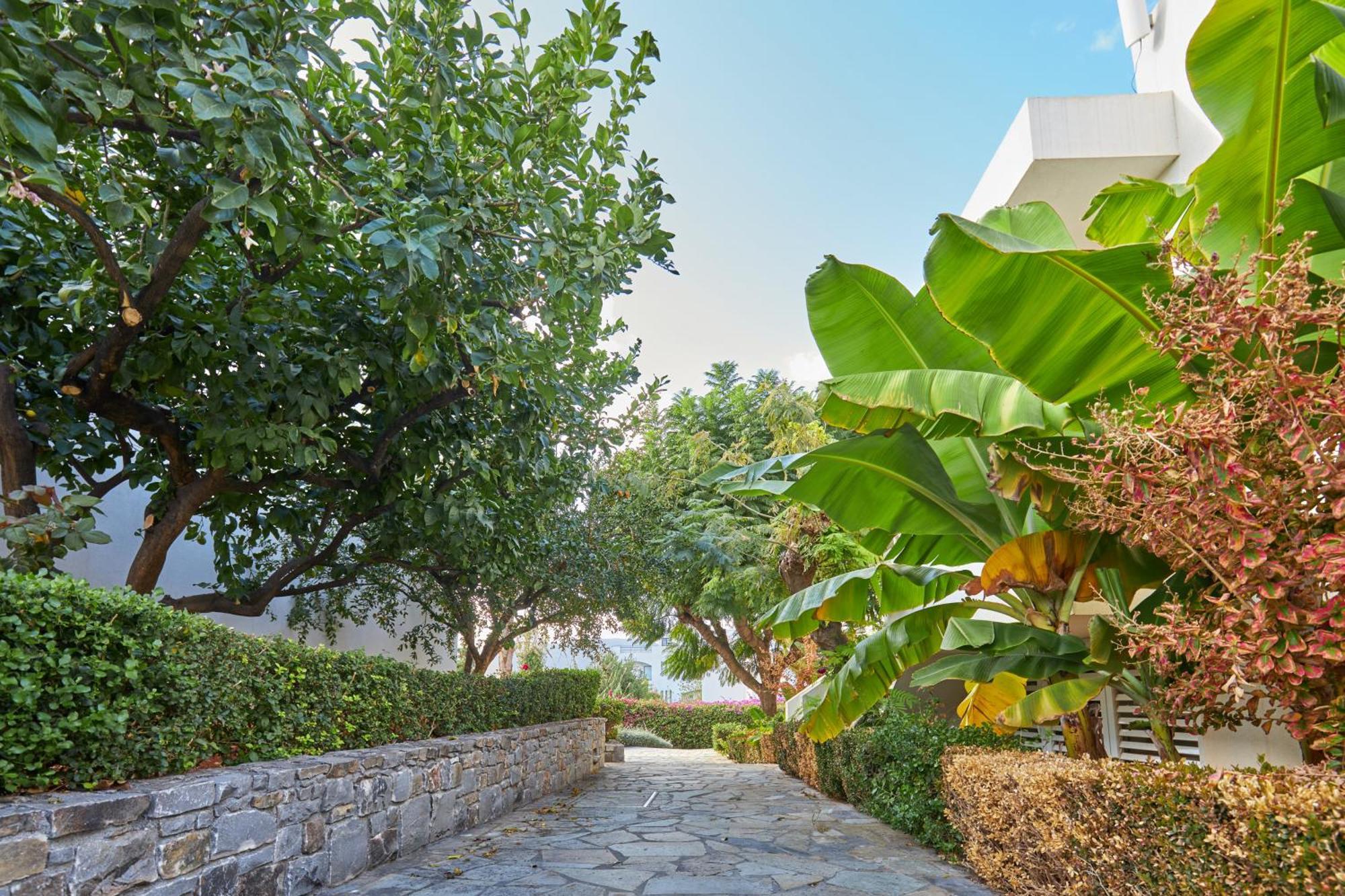 Kyknos Beach Hotel & Bungalows Malia Exterior foto